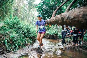 BIB: 
                            <button type="button" onclick="openModal(25374926)" class="btn btn-primary btn-sm float-right btn-popup" data-toggle="modal" data-target=".modal-high-quality">
                        <i class="fas fa-shopping-cart"></i> Add to Cart
                    </button>
                                            <button type="button" onclick="isThisMe(25374926, true)" class="btn btn-success btn-sm float-right btn-popup btn-isme hidden" data-toggle="tooltip" data-placement="bottom" title="นี่คือรูปของคุณใช่ไหม คลิกที่นี่เพื่อเอาเข้าอัลบั้ม">
                        <i class="fas fa-plus"></i> Add to album
                    </button>
                    <button type="button" onclick="isThisMe(25374926, false)" class="btn btn-warning btn-sm float-right btn-popup btn-isnotme hidden">
                        <i class="fas fa-ban"></i> Remove from album
                    </button>